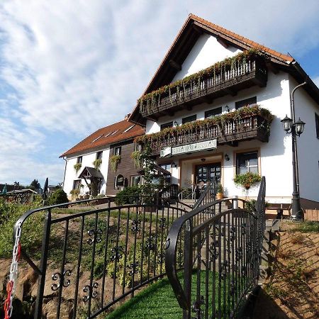 Hotel-Pension Flechsig Hartmannsdorf bei Kirchberg Zewnętrze zdjęcie