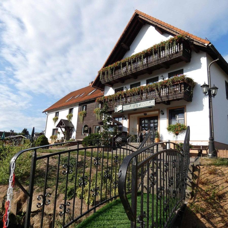Hotel-Pension Flechsig Hartmannsdorf bei Kirchberg Zewnętrze zdjęcie
